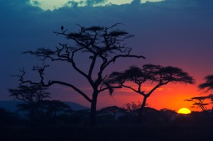 Africa Scenery